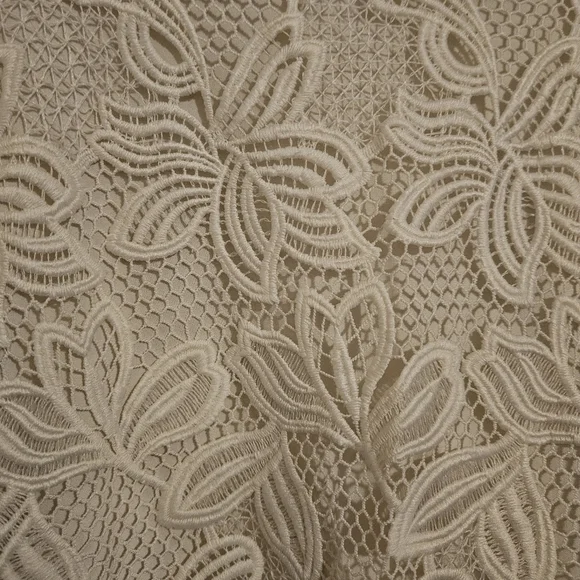 Lane Bryant-Cream Pullover Sweater with Lace Front Overlay-Plus Size 18/20 - Picture 4 of 6